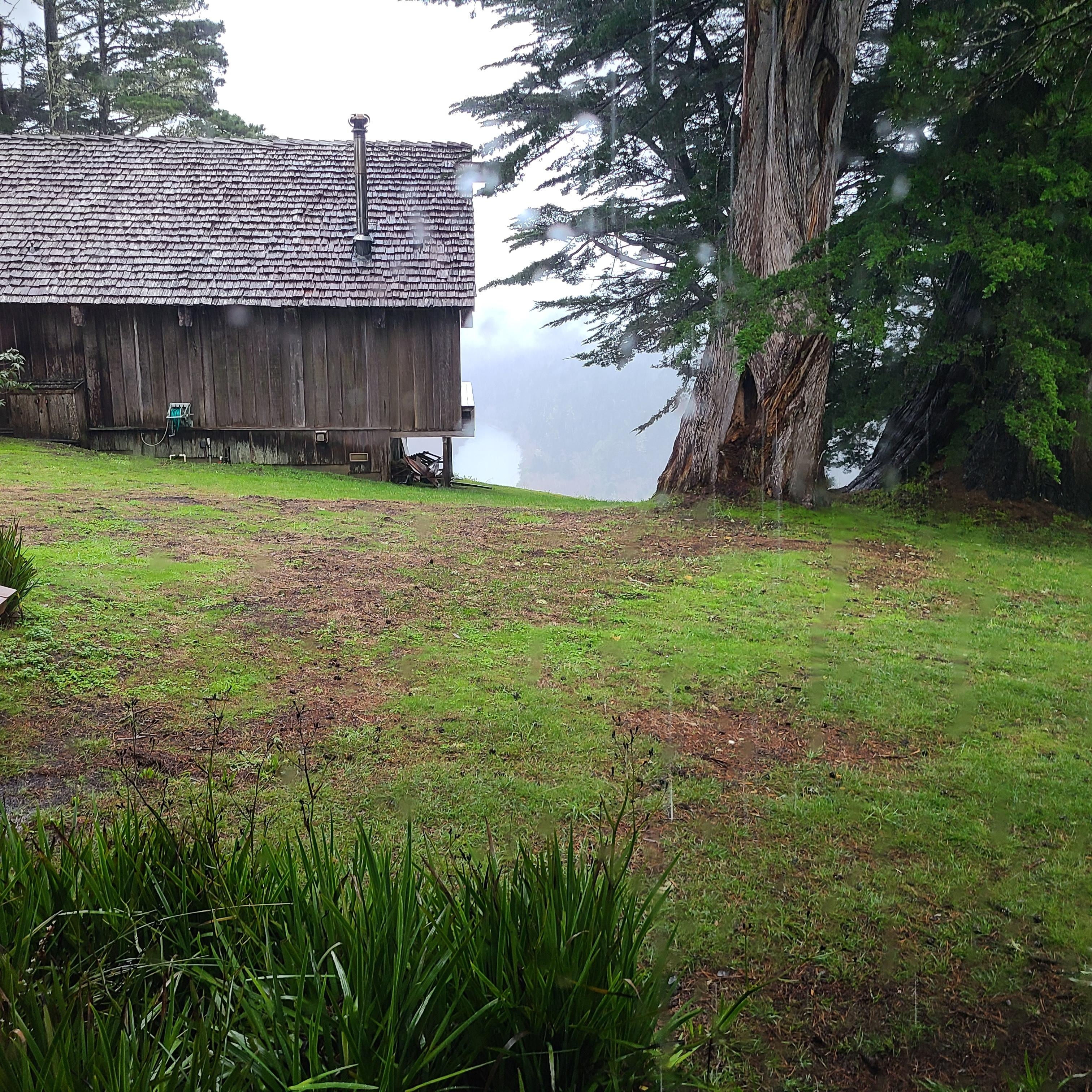 The river to the left winding through the trees to the pacific. 