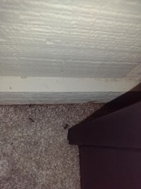 The view behind the master bed
