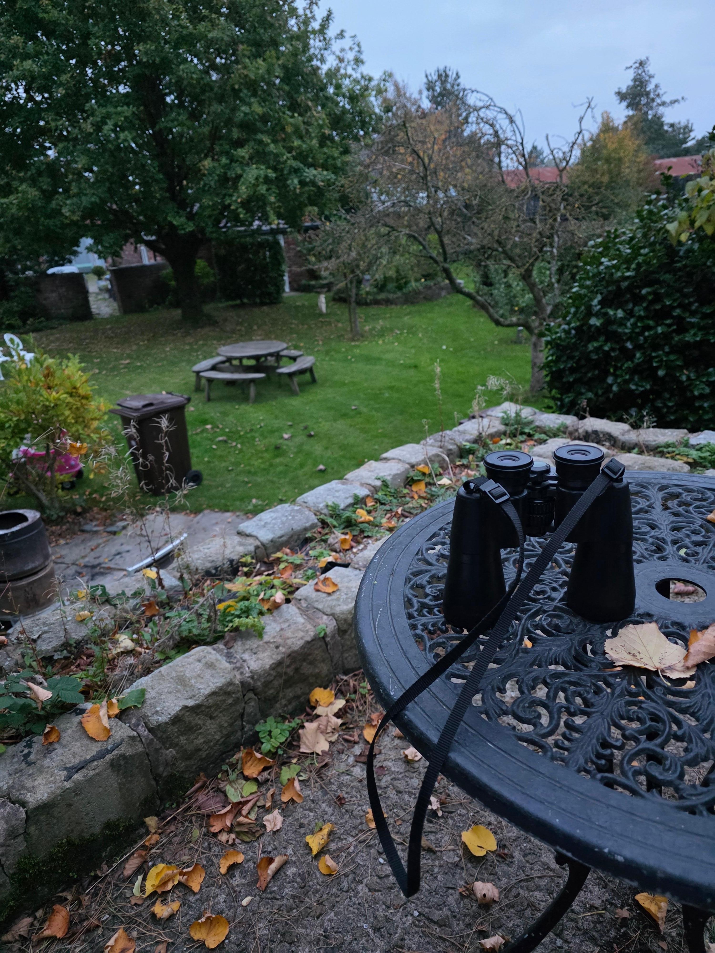 View back to the cottage 