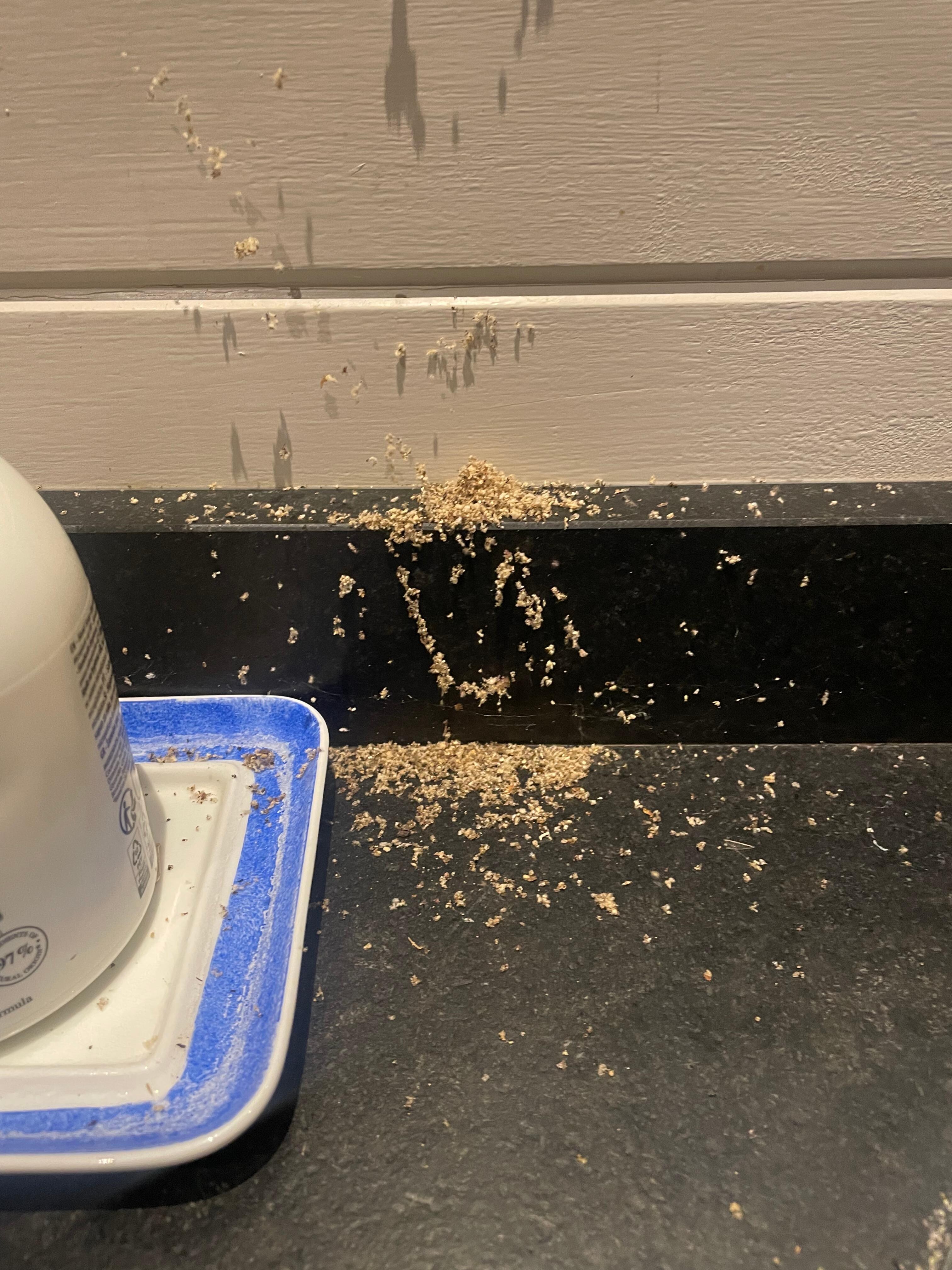 Sawdust in the kitchen (coming from the window)