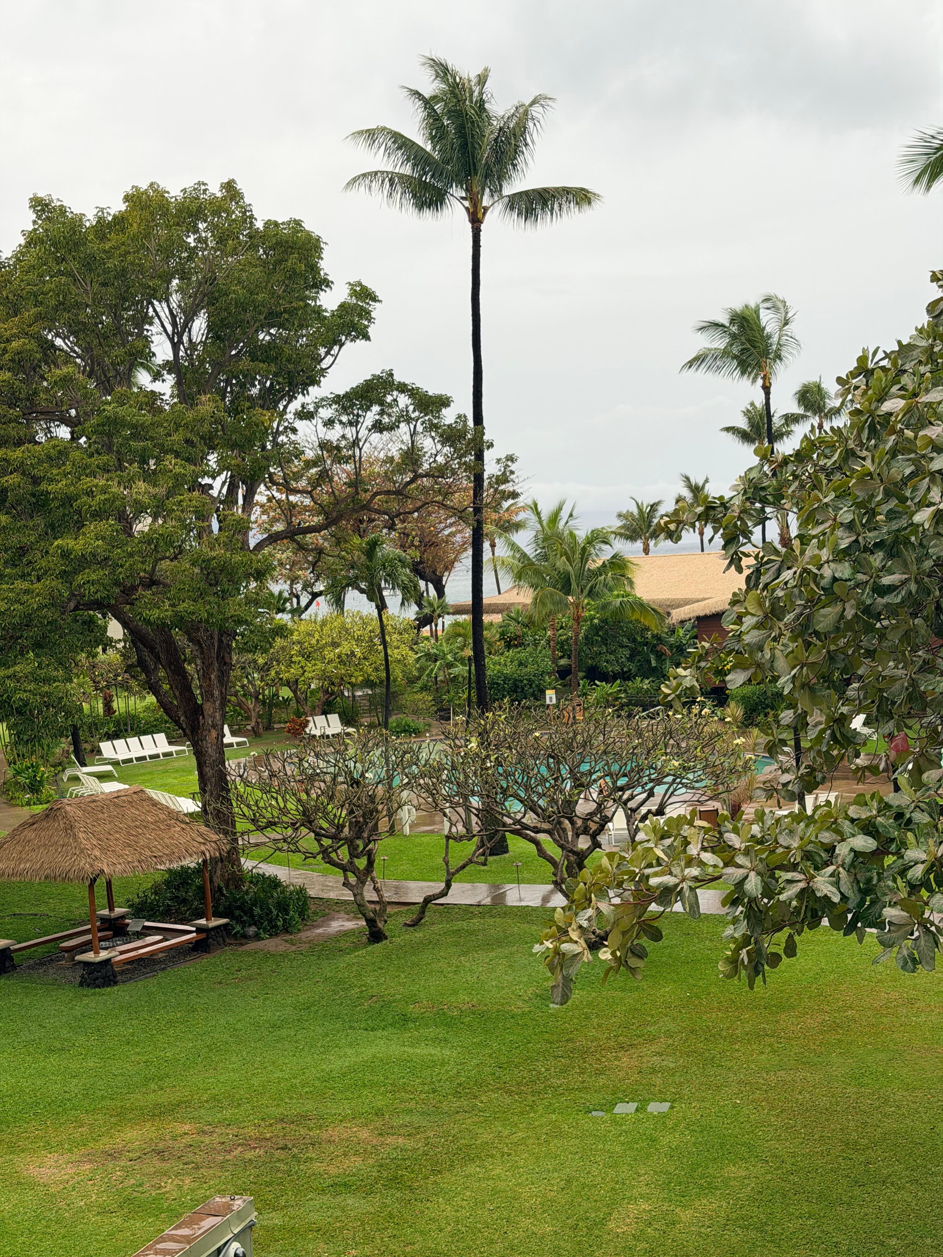 Supposed to be a ocean view 