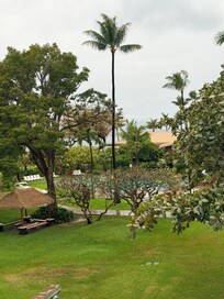 Supposed to be a ocean view