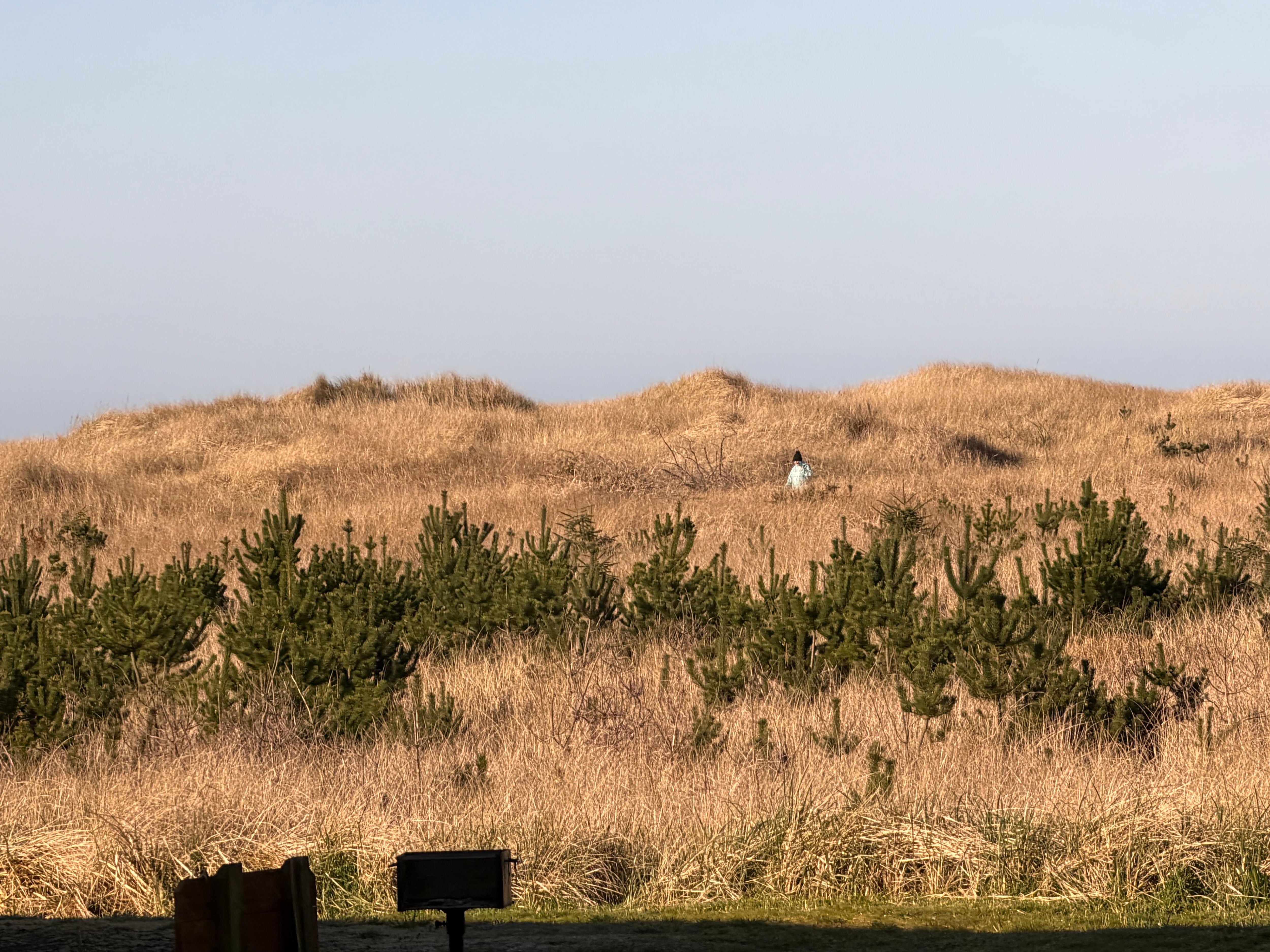 View from our room.  There is a paved path to the beach. . 