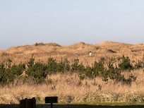 View from our room. There is a paved path to the beach. .