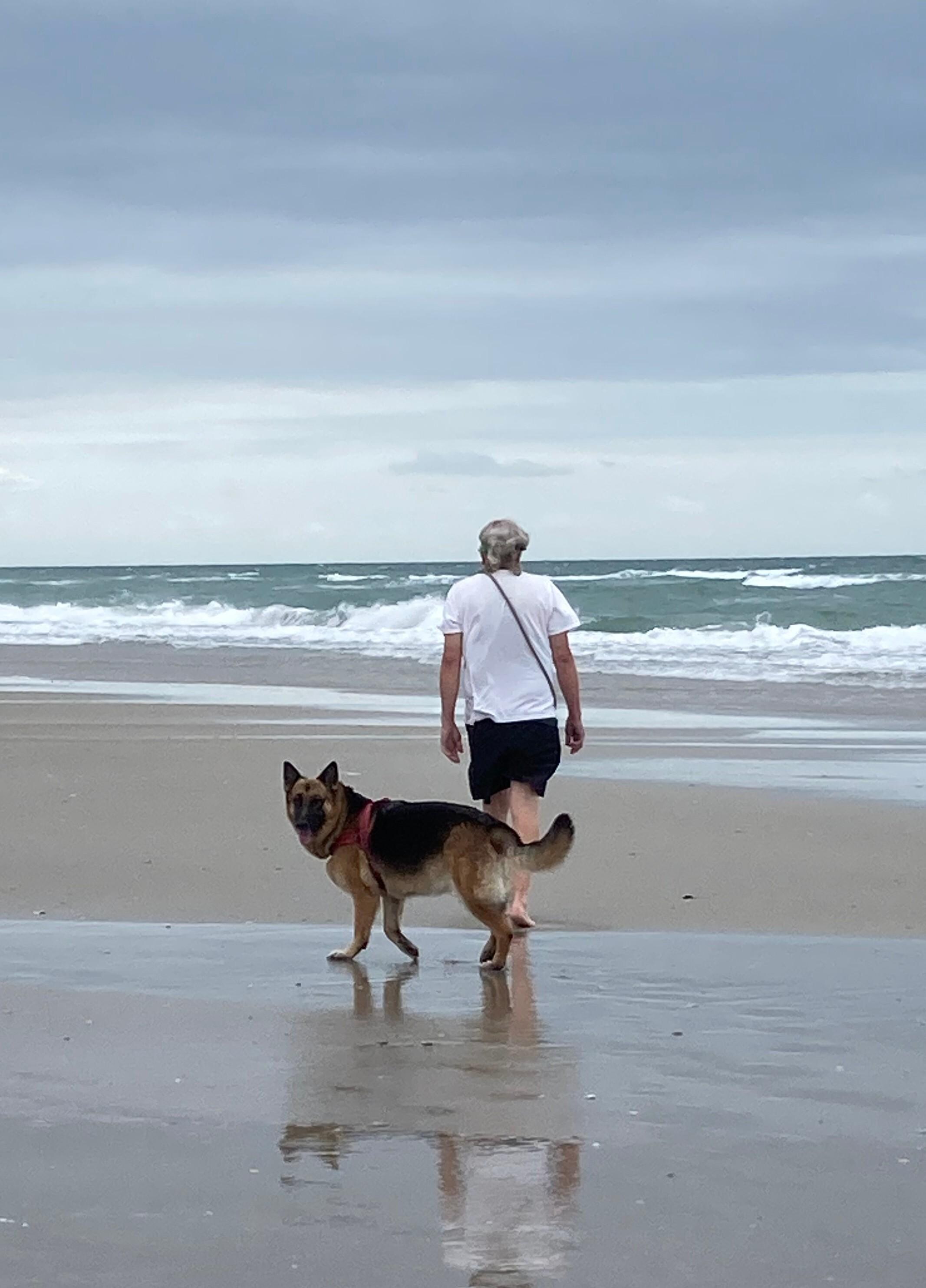 It is a dog friendly beach, so dogs can swim