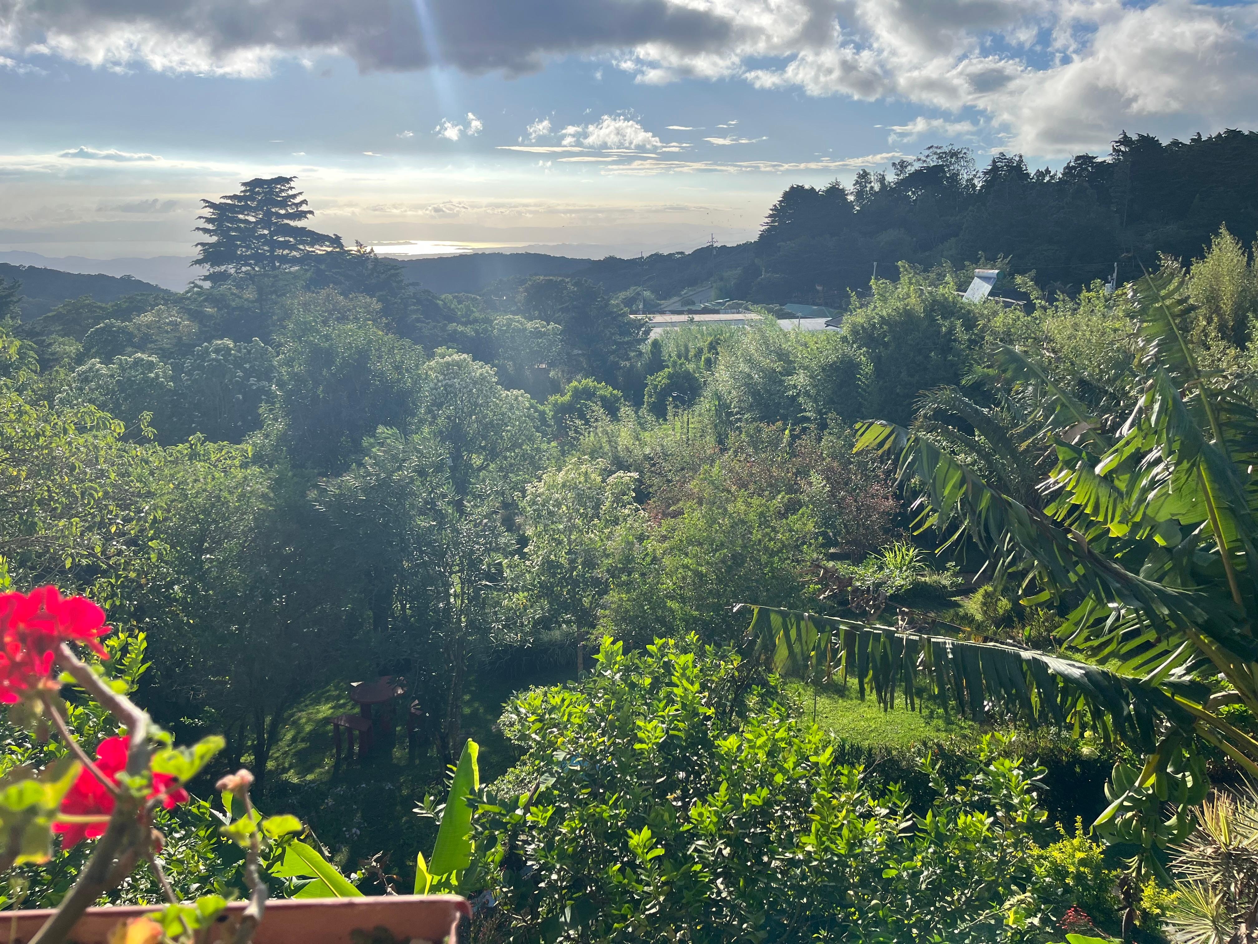 View from upper deck 