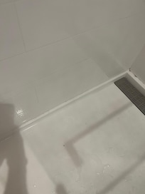 Mold in the shower