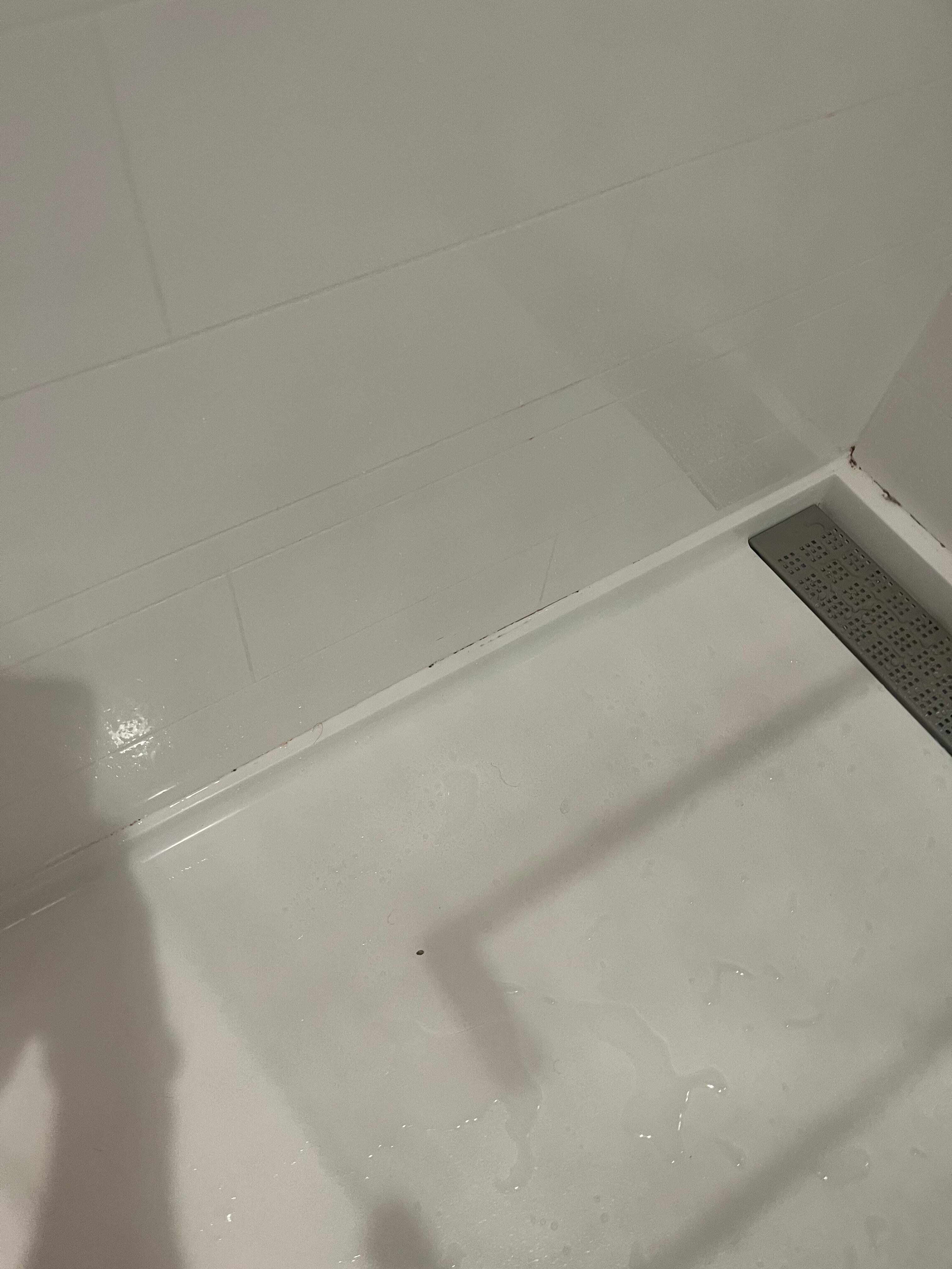 Mold in the shower 
