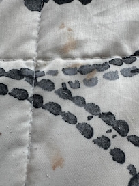 Something gross on the bed cover!