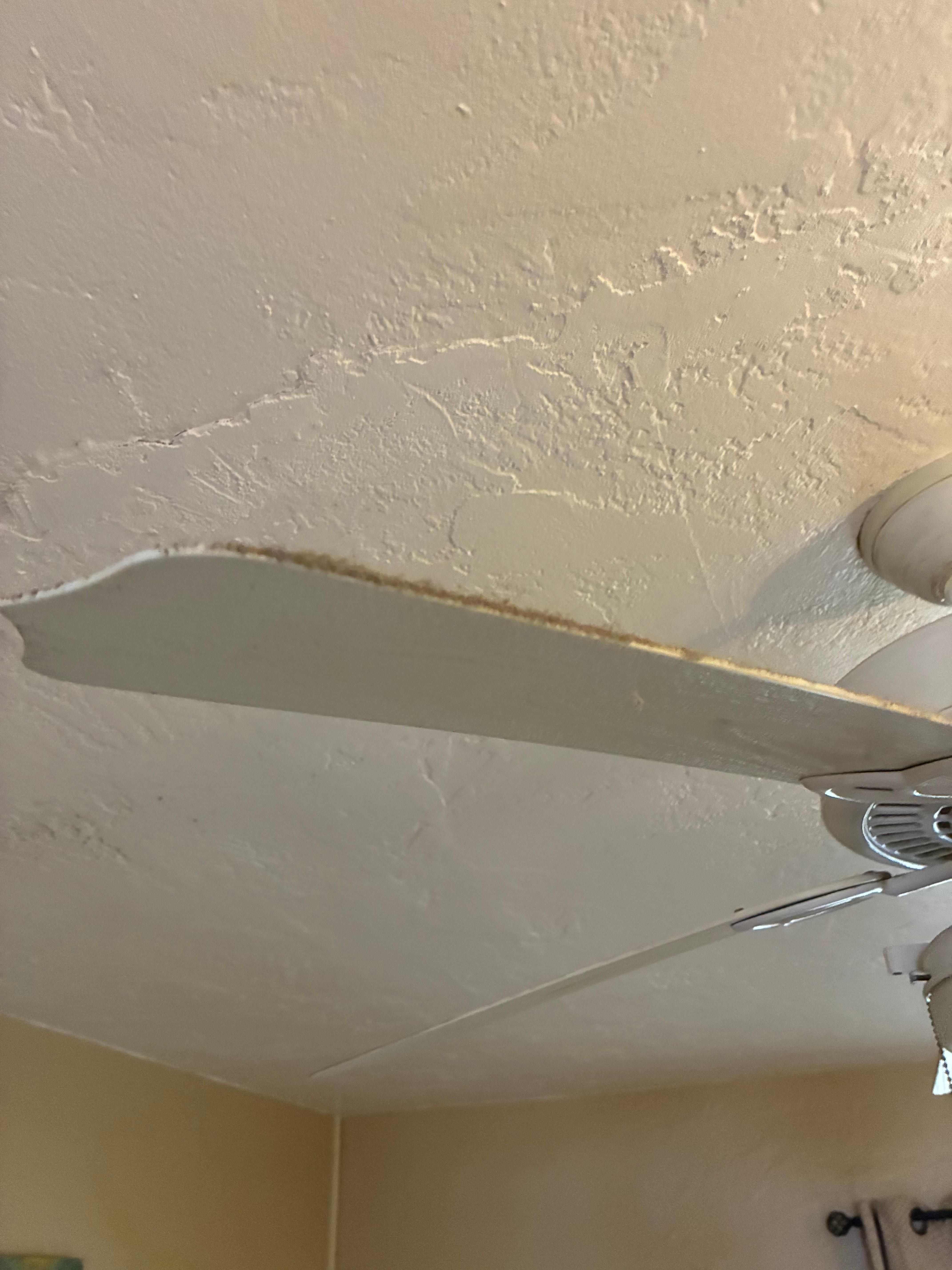 Thick dust layer on fan blades 