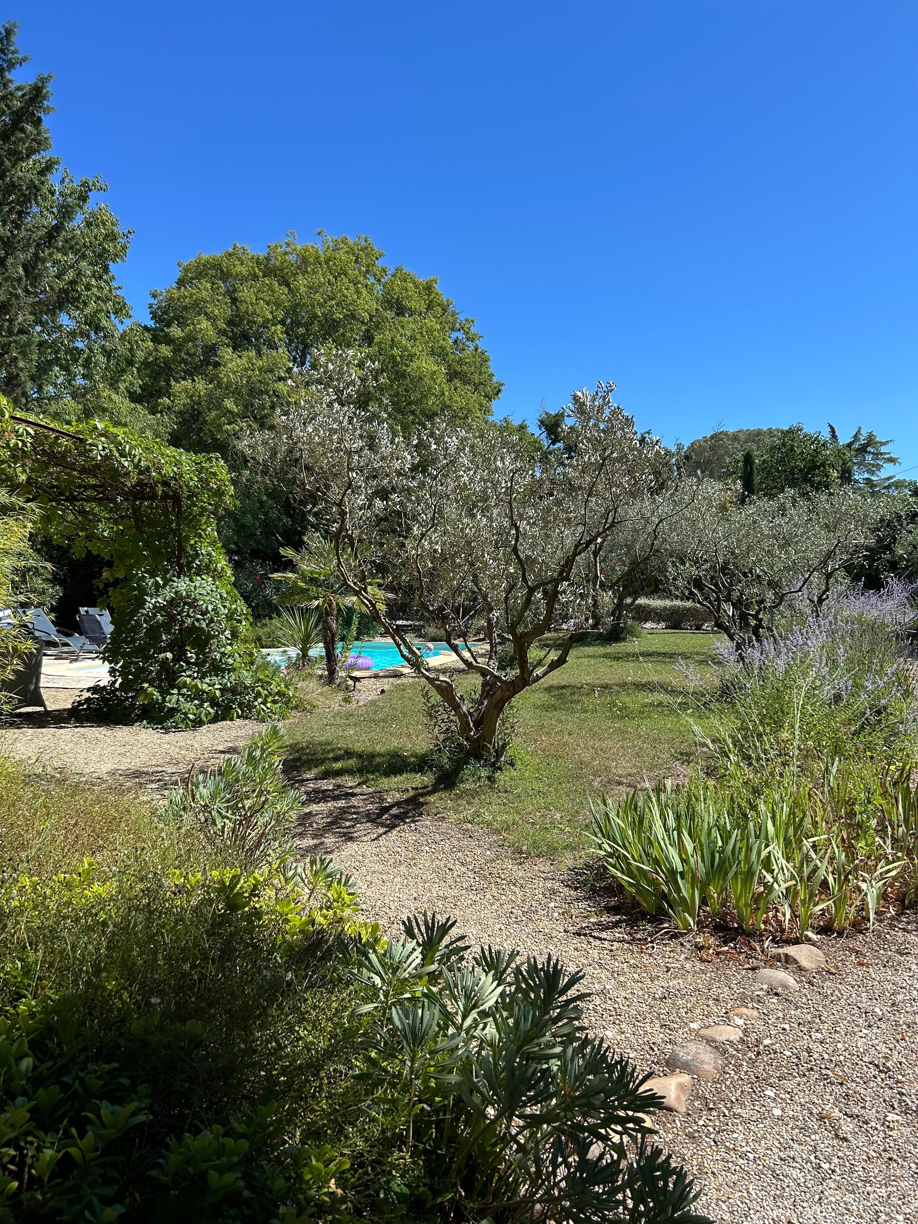 View from the front door to the pool
