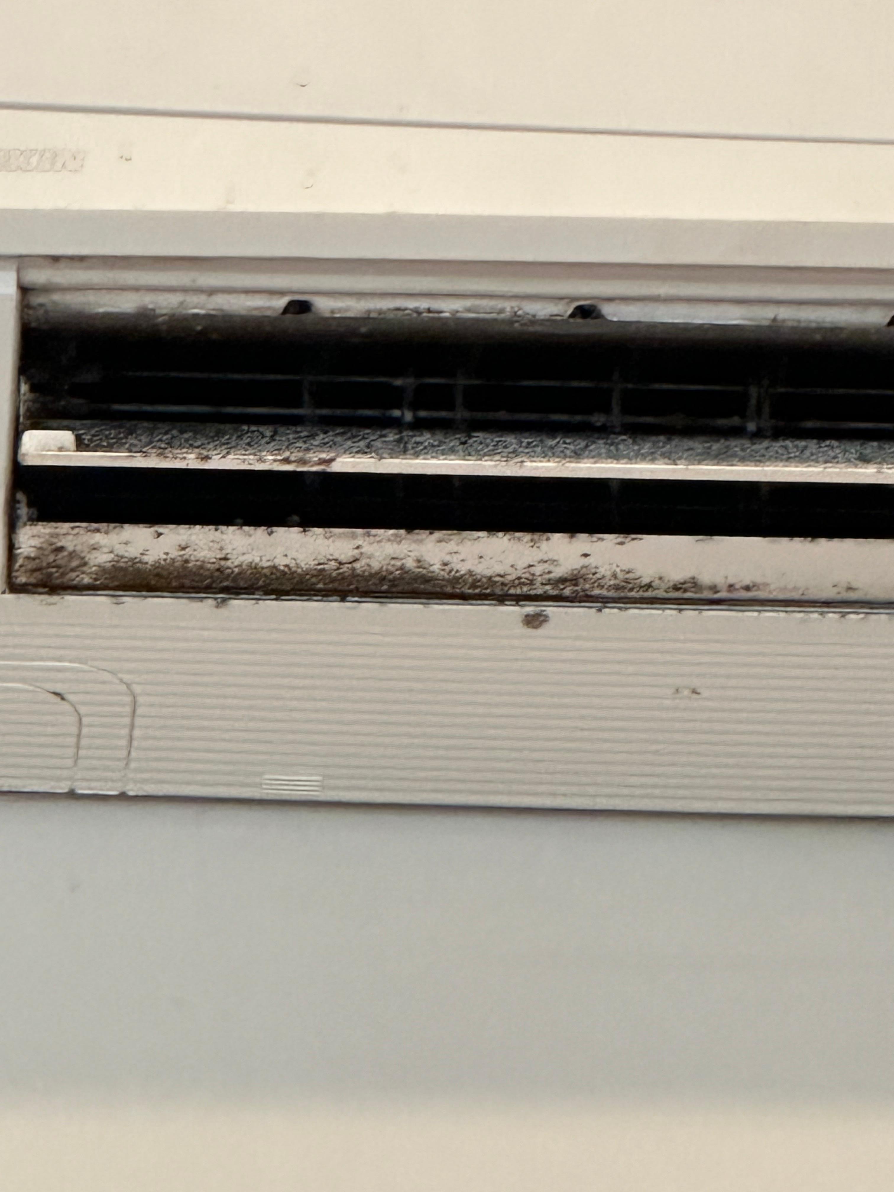 Many of the mini splits were caked with mold. 