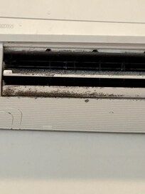 Many of the mini splits were caked with mold.