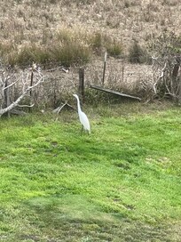 Nice crane outside our room.