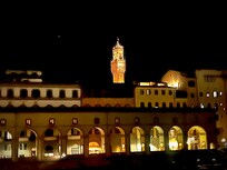 The view from the living room window