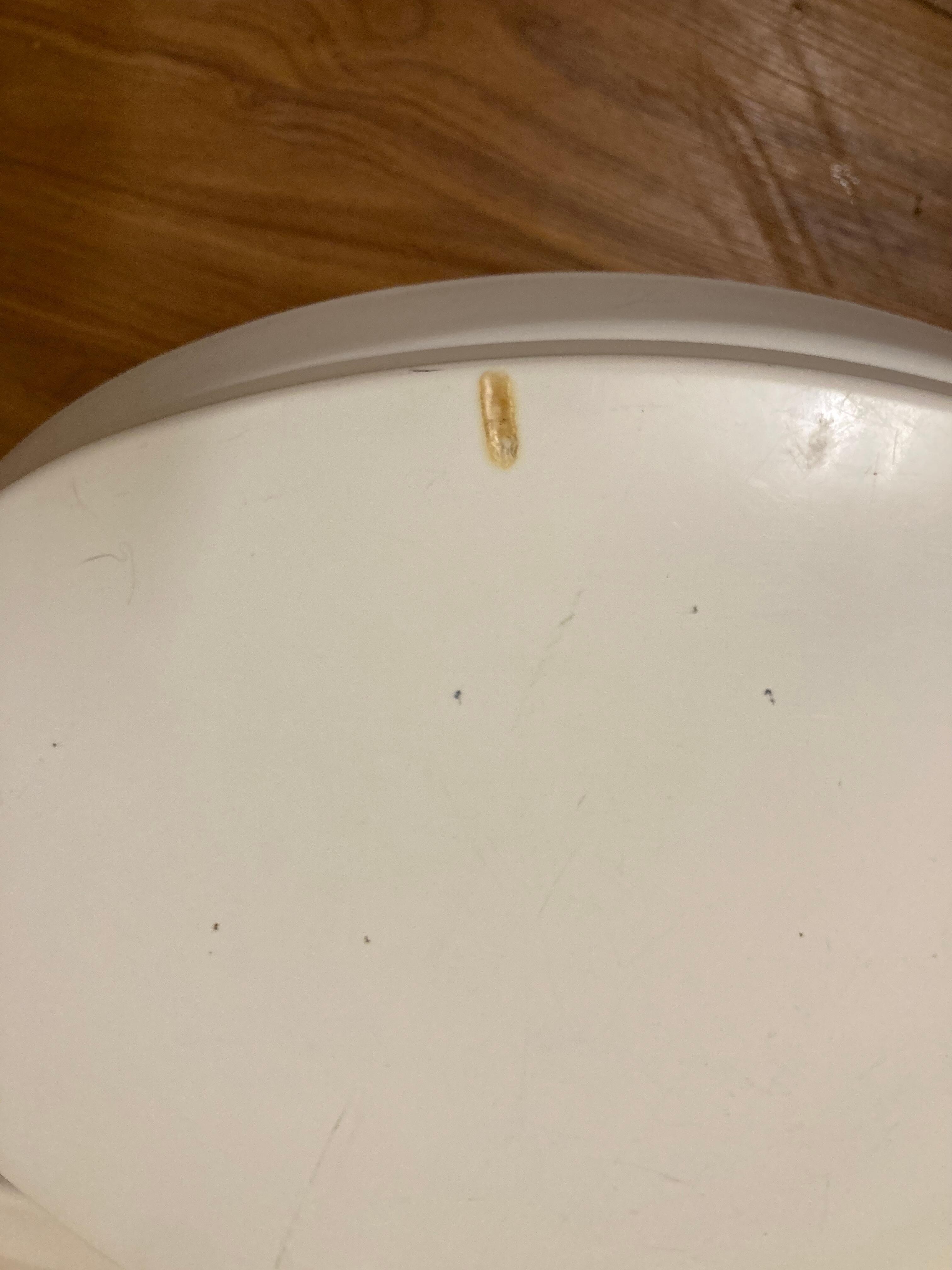 Burns on toilet seat
