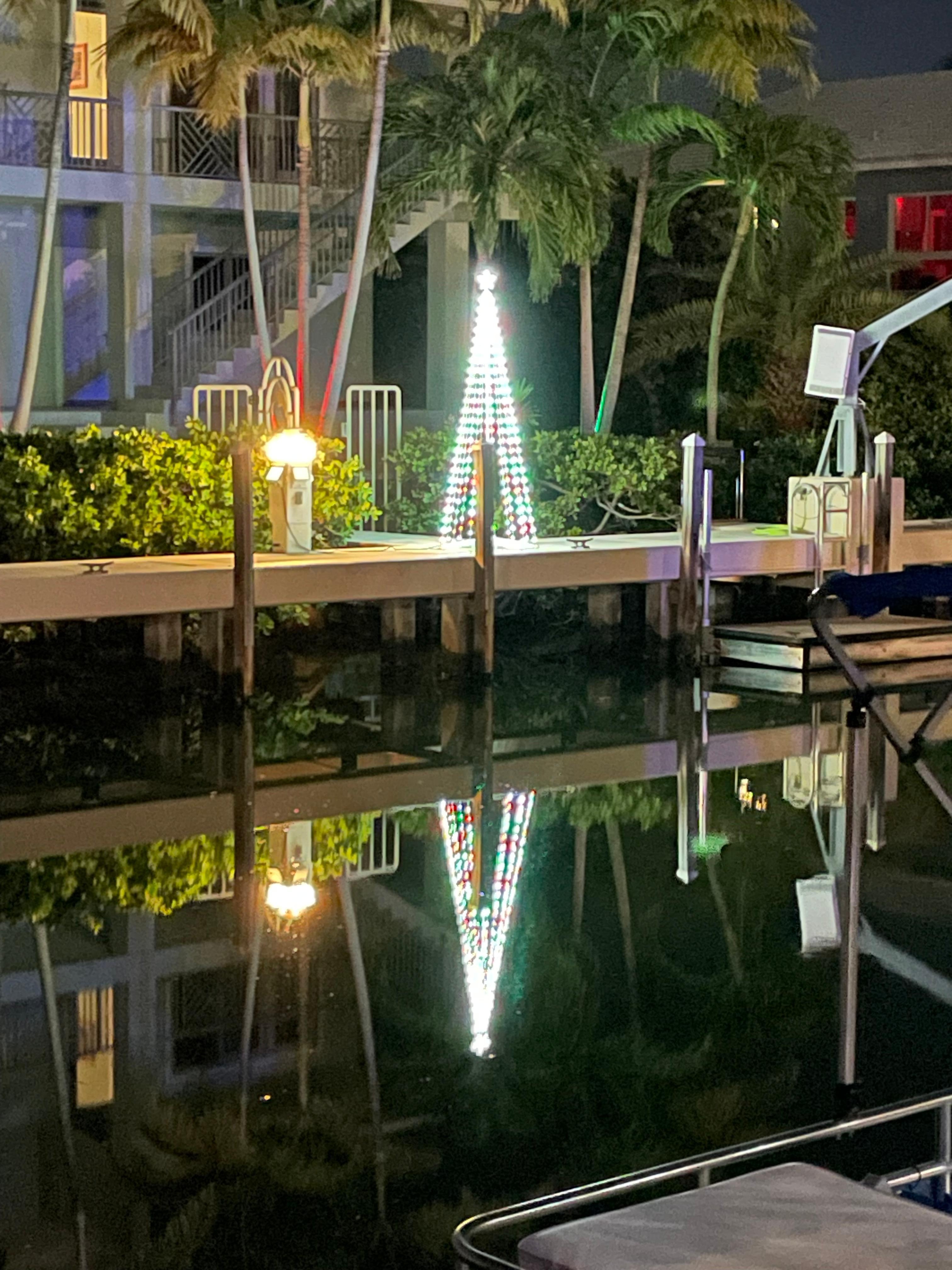 Across the canal at Christmas 