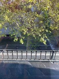 The view out my hotel room window, lots of chirping birds, lovely!