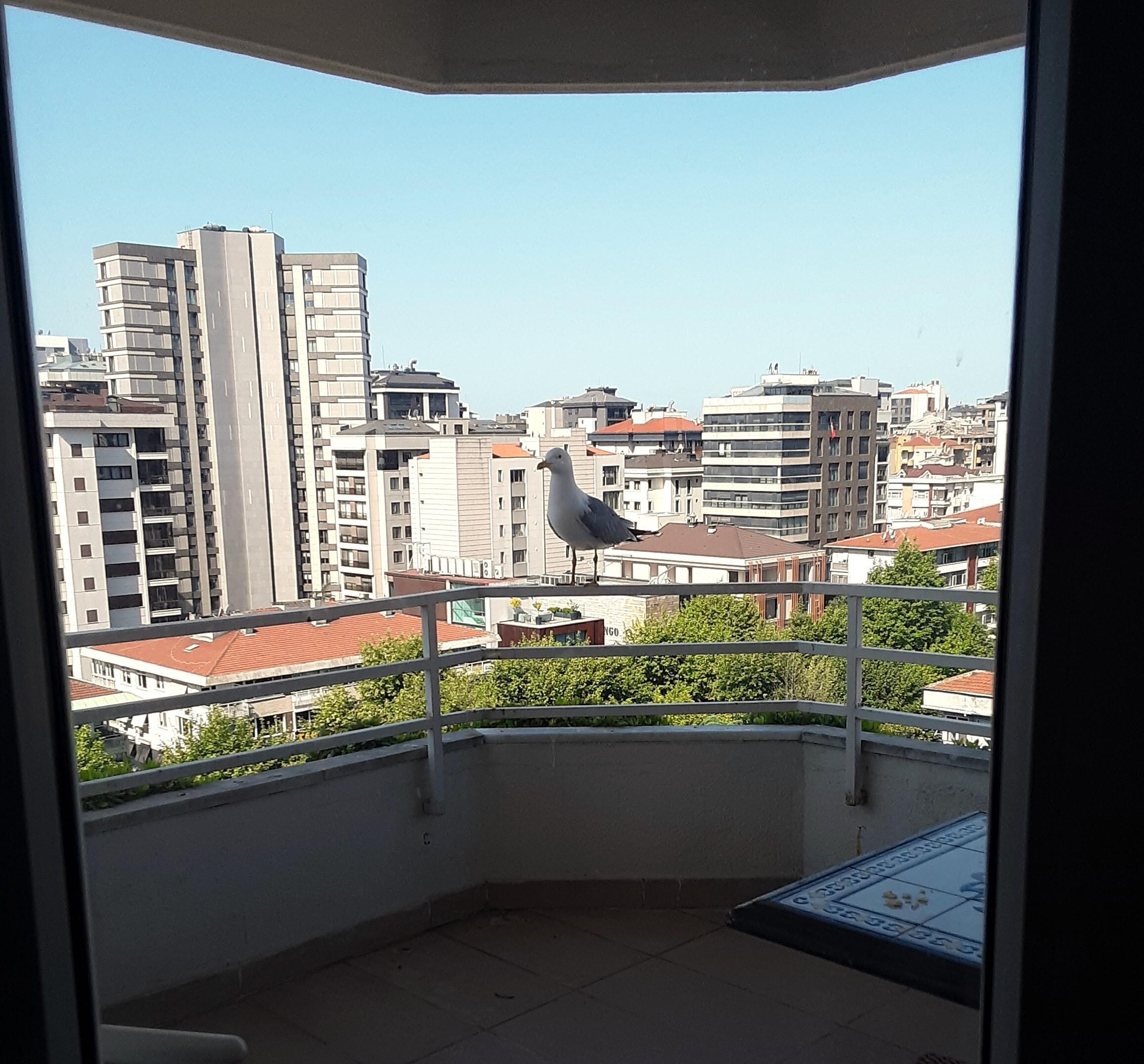 View from the terrace of my apartment at the hotel.