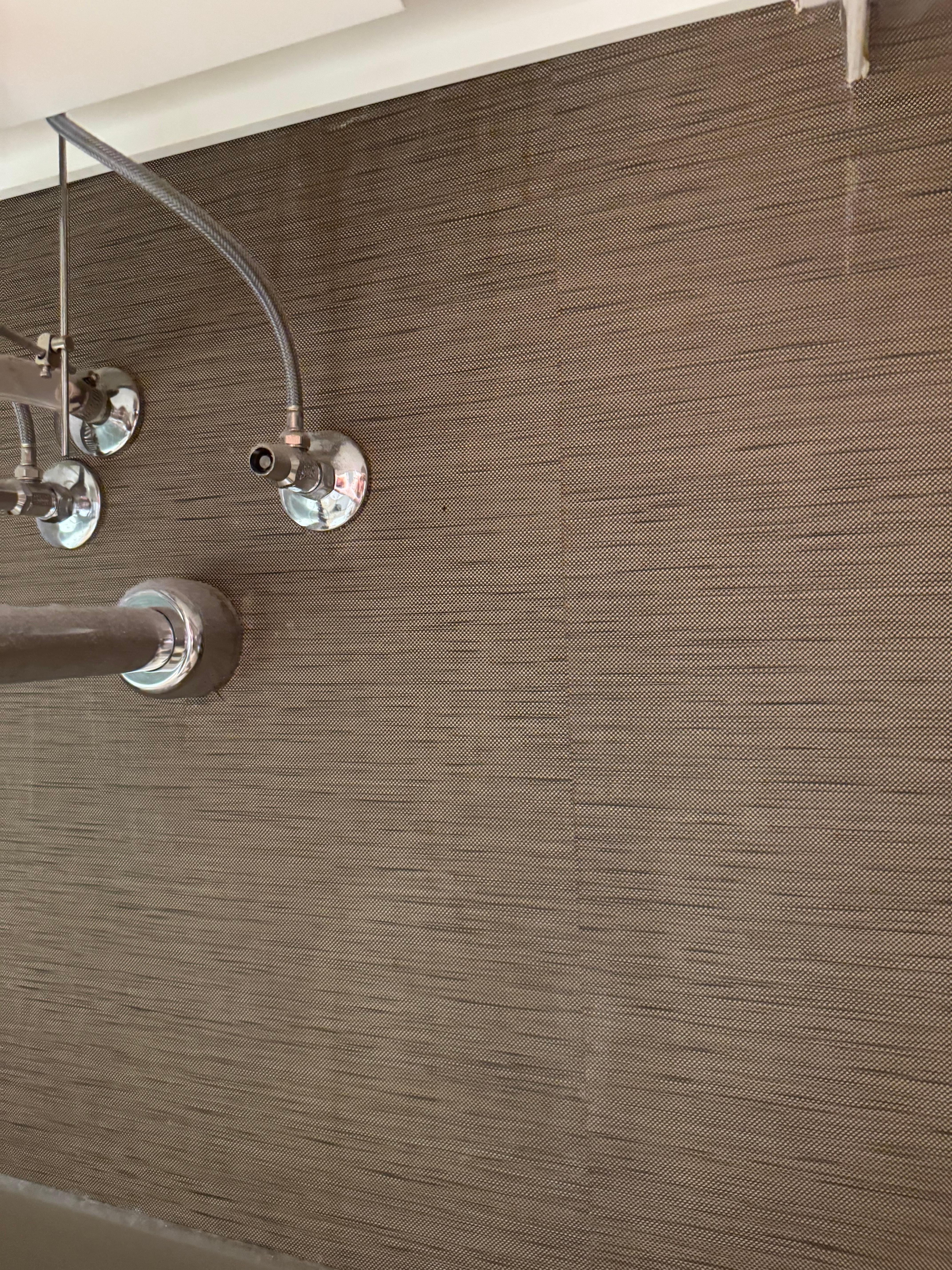 Mold and water damage