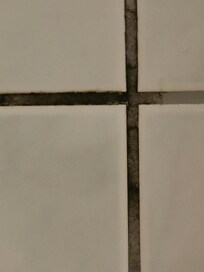 Schimmel Geruch im Bad