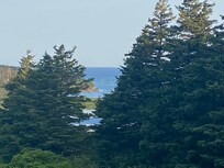 View from the deck