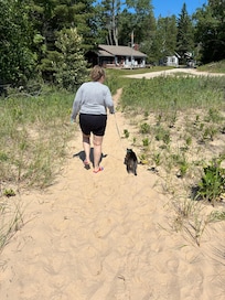 Pontoufle the cat on a stroll from the beach toward the cottage nestled in far background