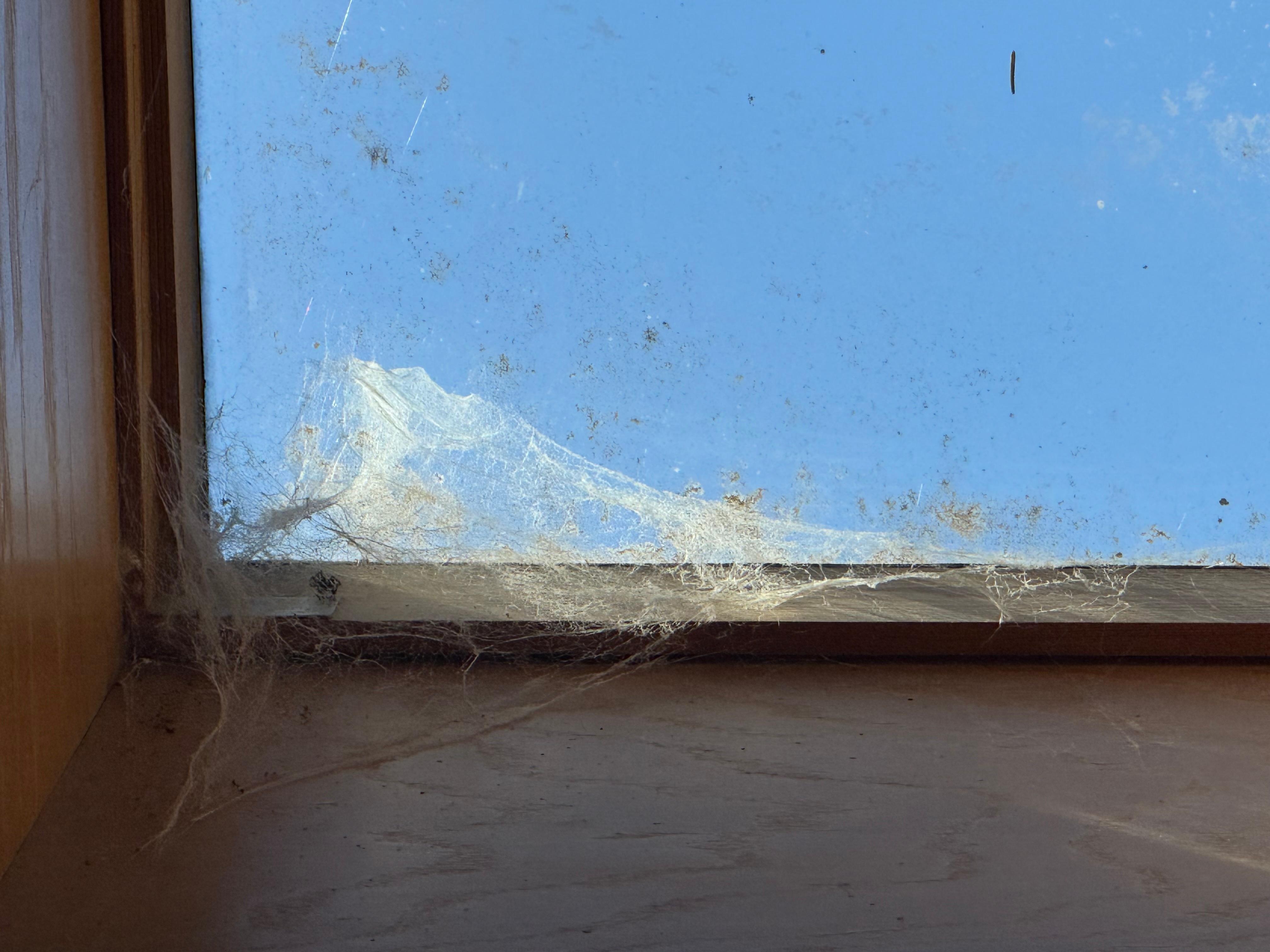 Windowsills haven’t been cleaned of cobwebs.