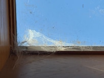 Windowsills haven’t been cleaned of cobwebs.