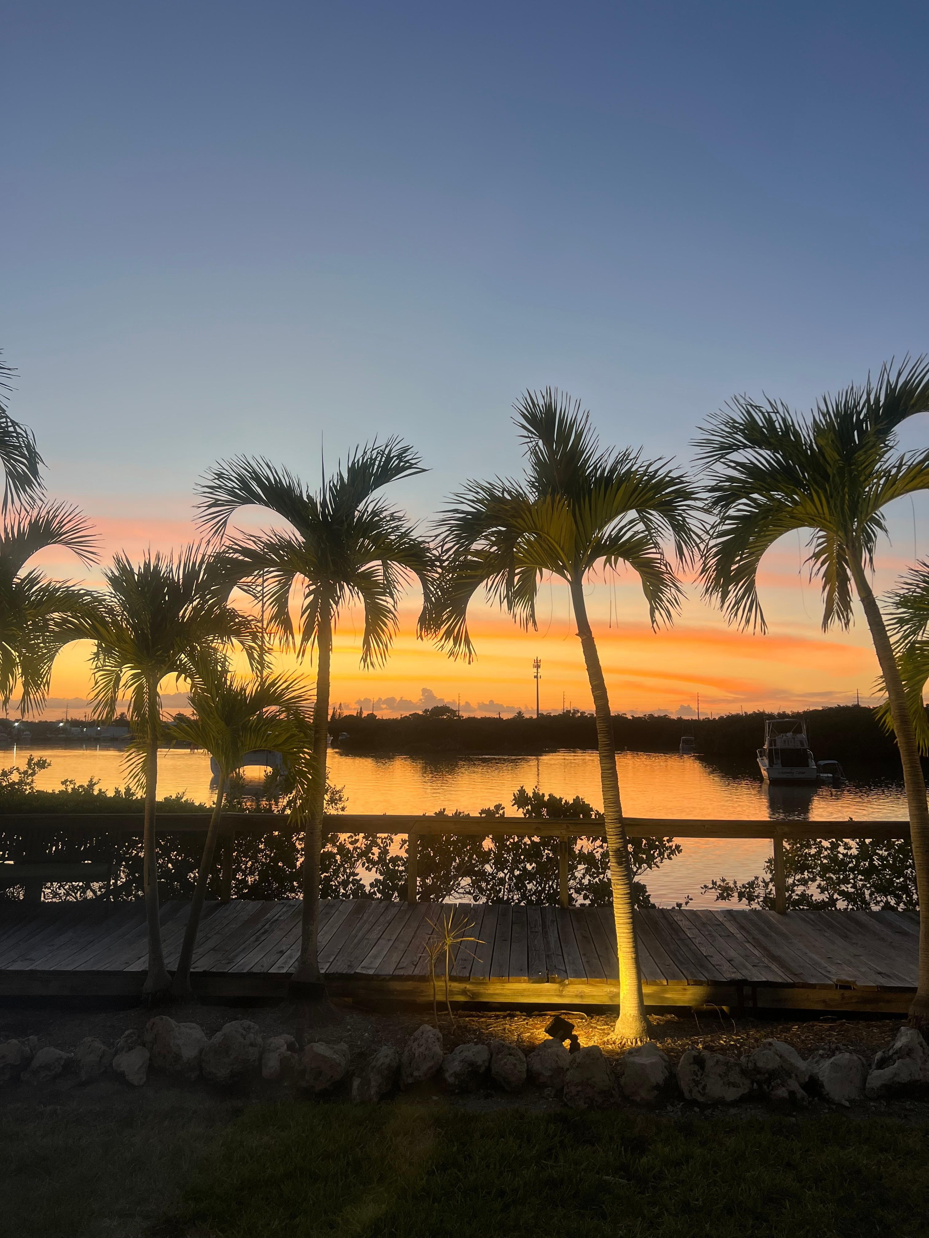 Gorgeous sunsets
