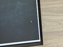 Cockroach 1