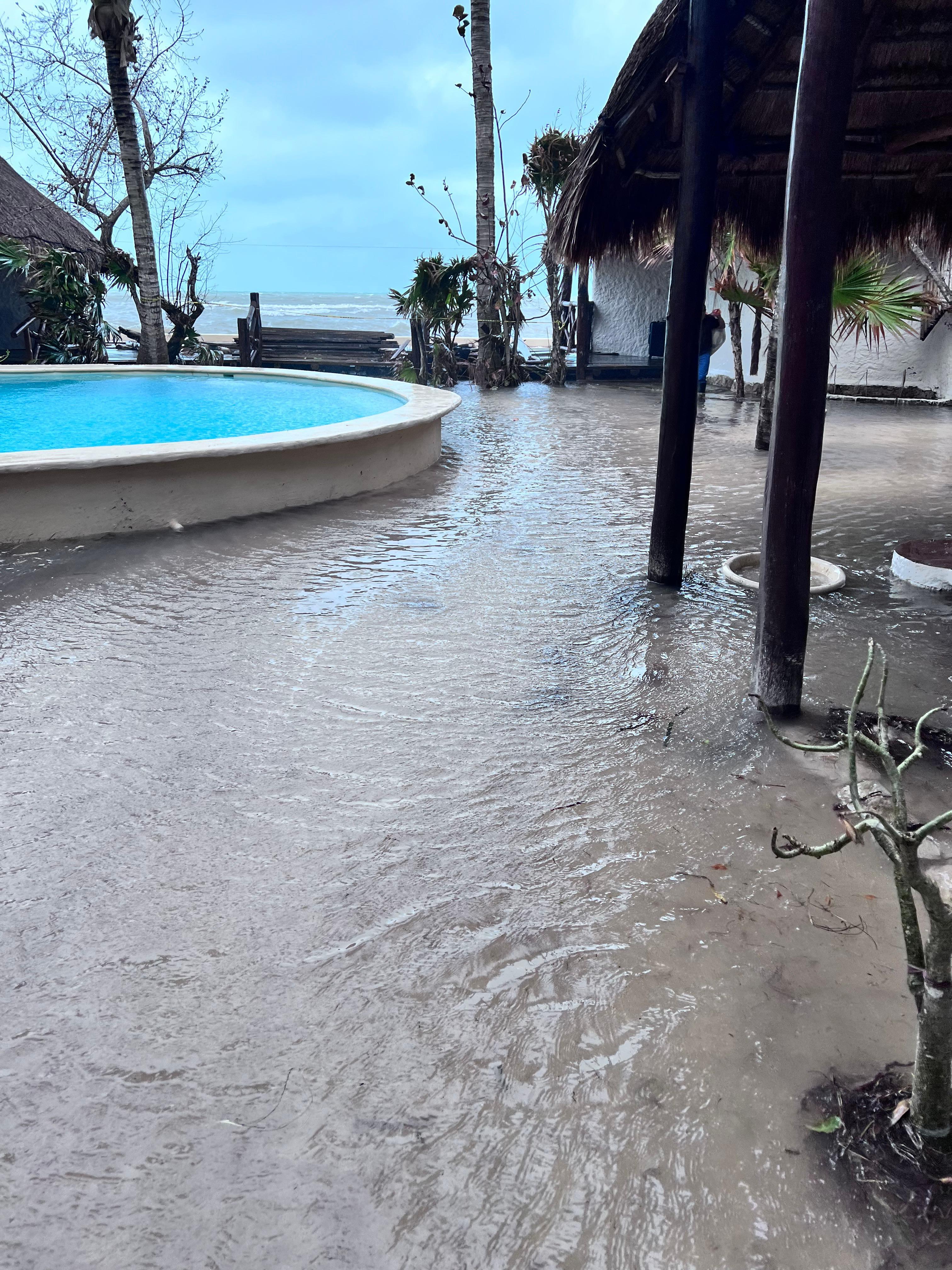 Ocean water was used to fill pool 