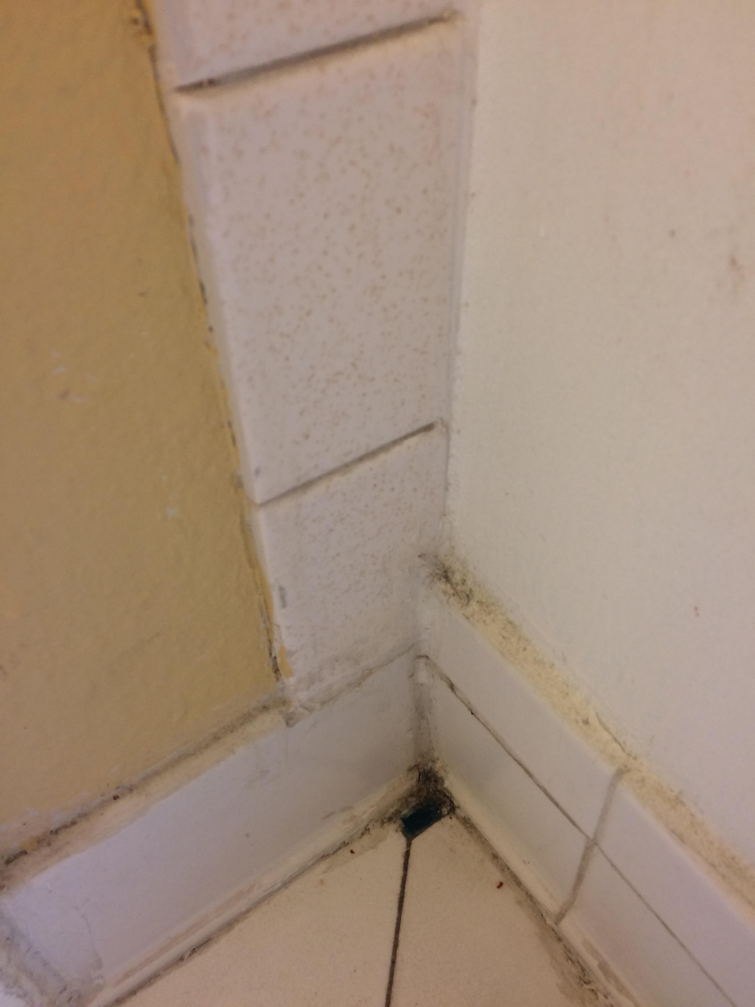 filthy tiles