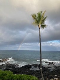 View from lanai.