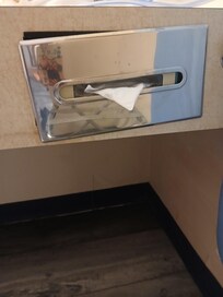 Tissue holder in the room