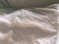 Dirty comforter: not sure what that is