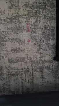 Old stain in odd location they charged me $100 for. I reported to the desk when I saw it and was still charged. Just a money grab.