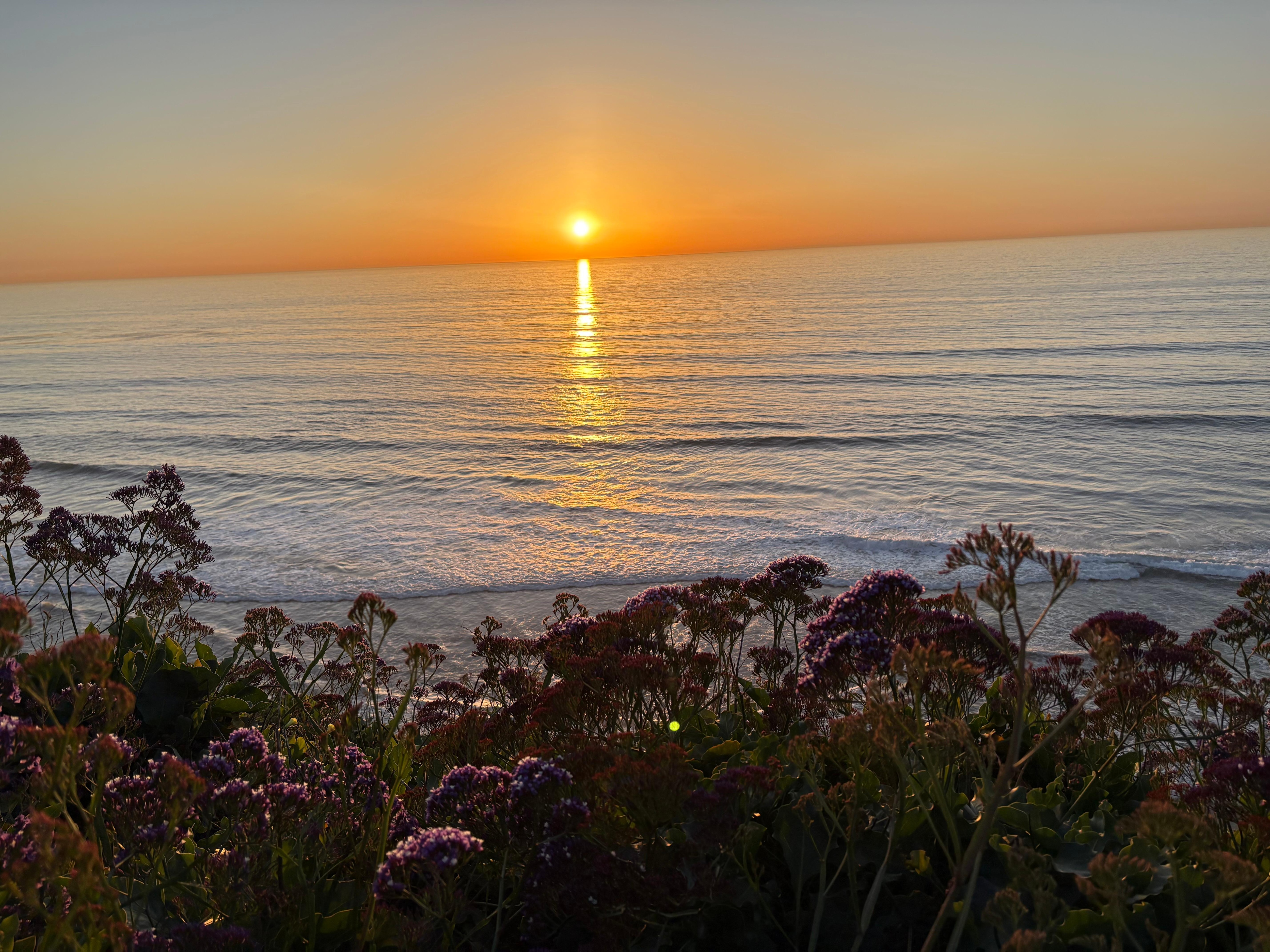 Sunset right up the street at the H Street Viewpoint