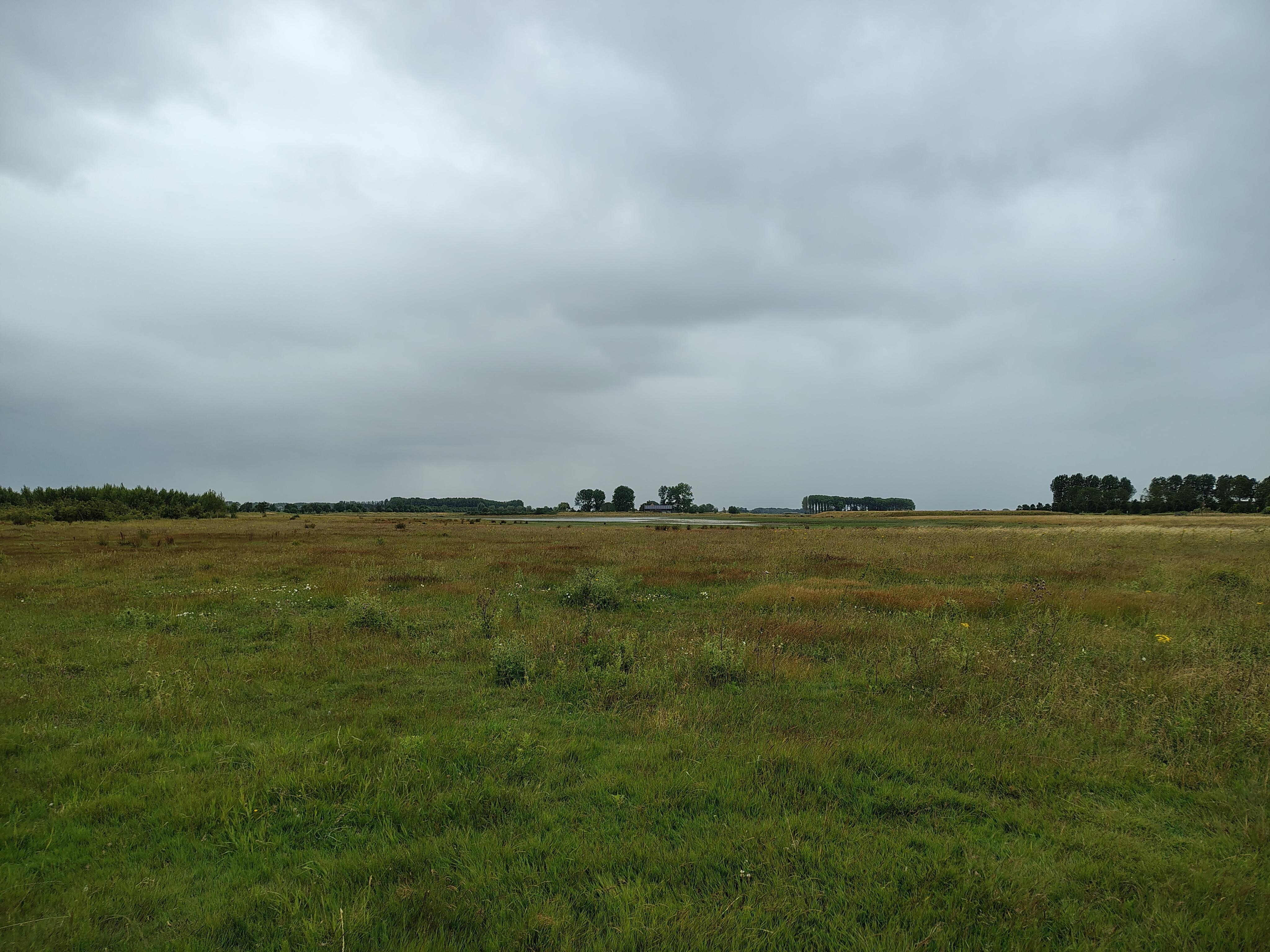 Natuurgebied Waterdunen