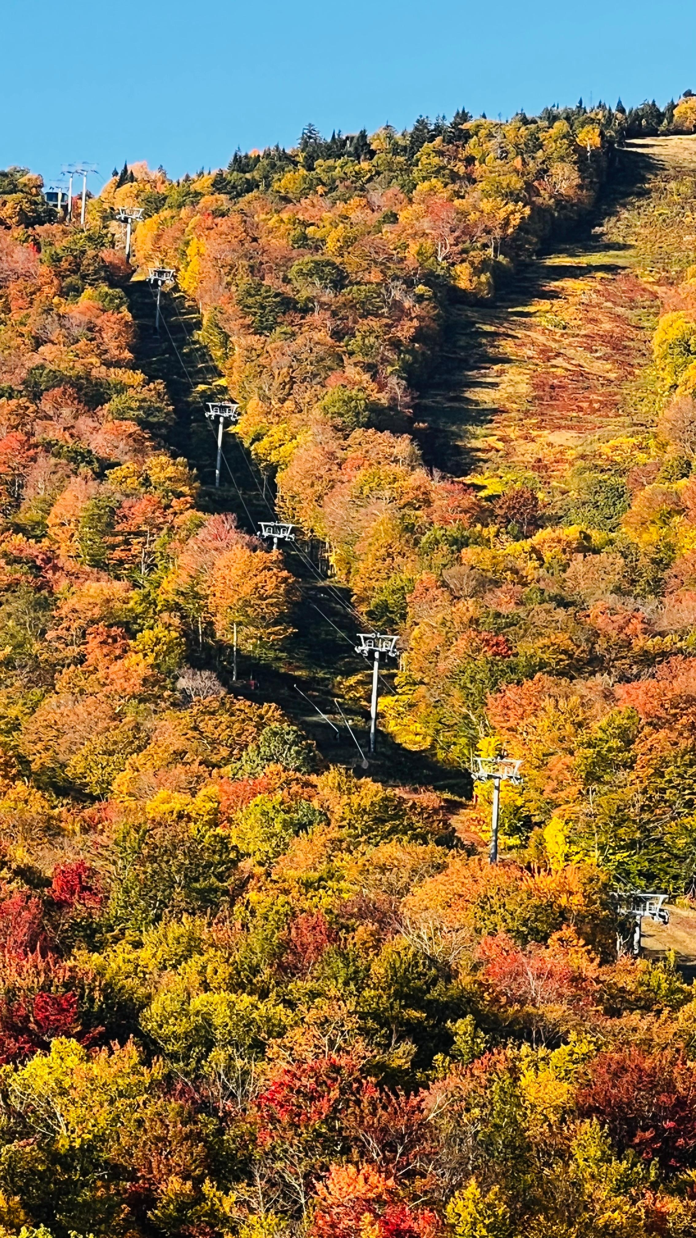 Close-up view from our room