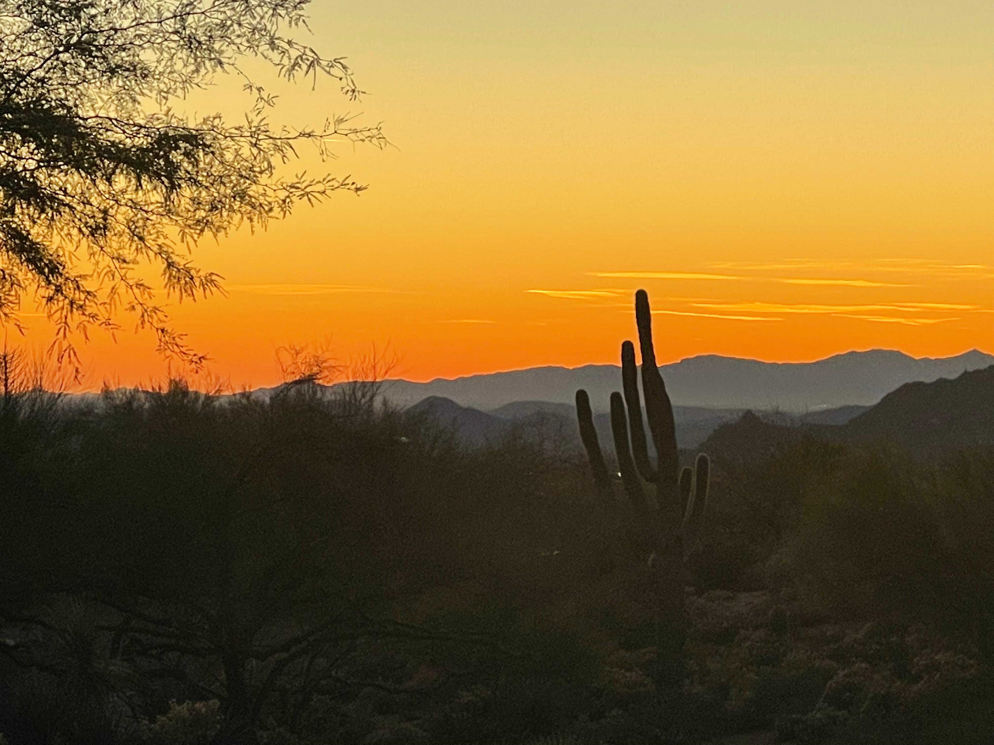 Our view in the evening ! Lucky us!!