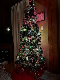 Beautiful Christmas tree