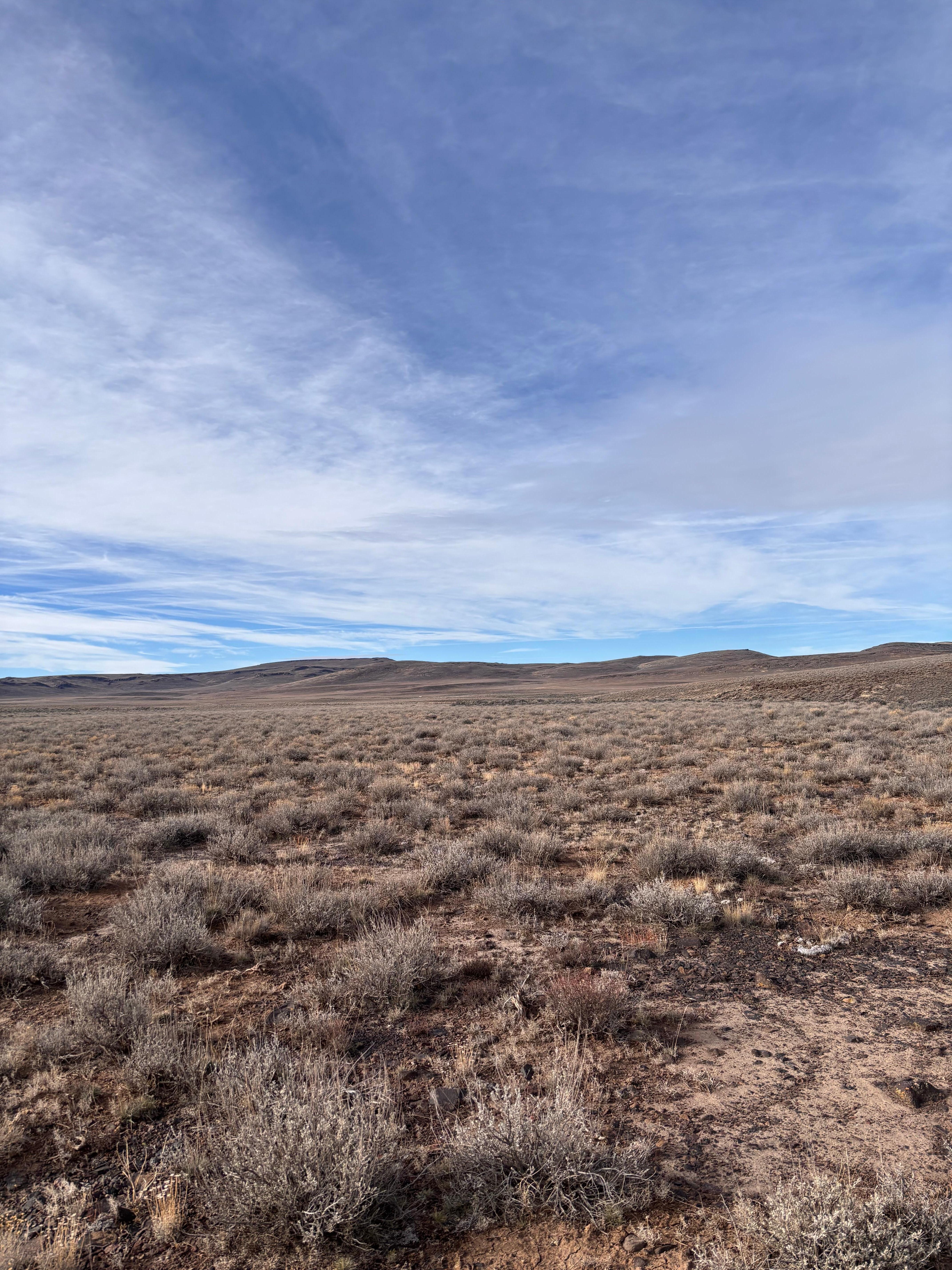 Lots of wide open space in close by Nevada