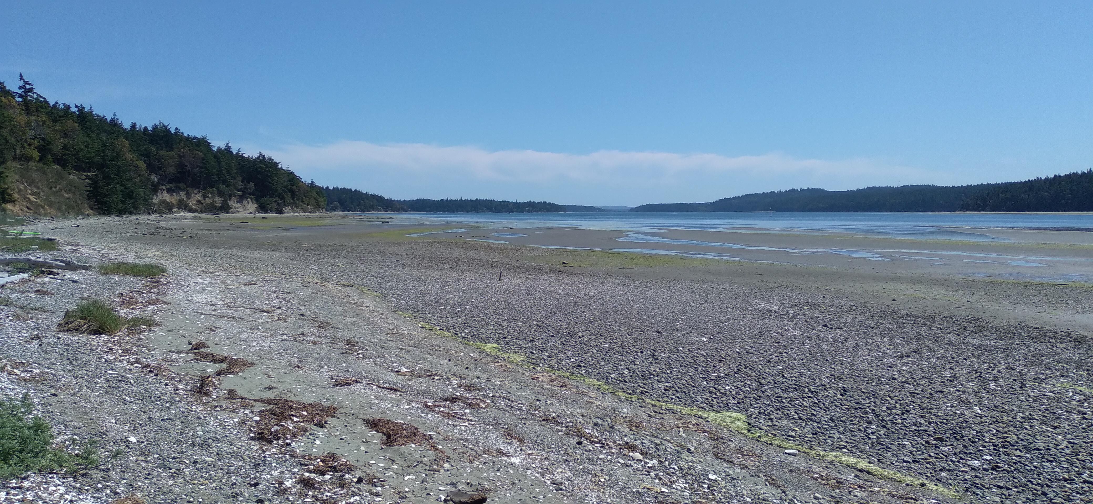 Low Tide At Marrowstone Island