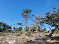 Beautiful day today