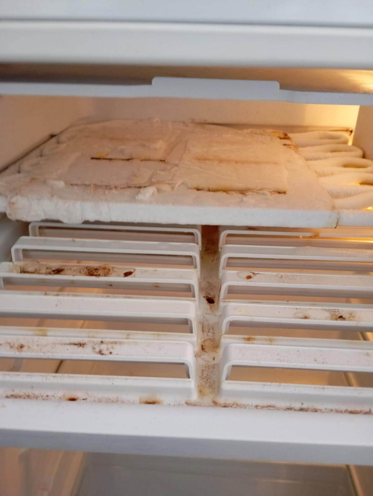 Freezer sal