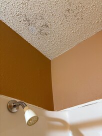 Mold growing on ceiling above shower.
