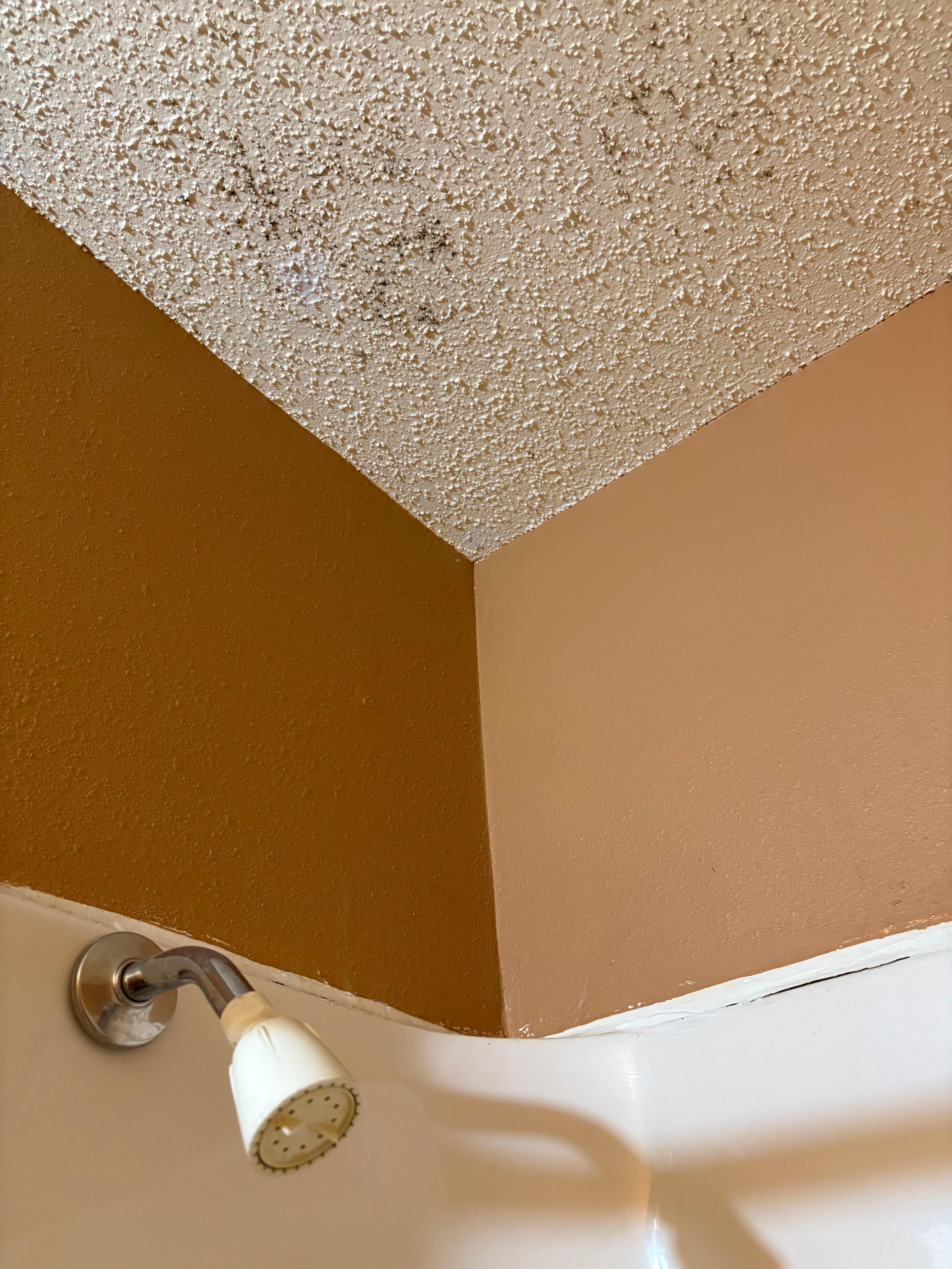 Mold growing on ceiling above shower. 