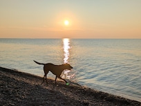 On the beach at sunset
