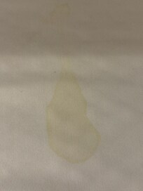 Stain on Mattress